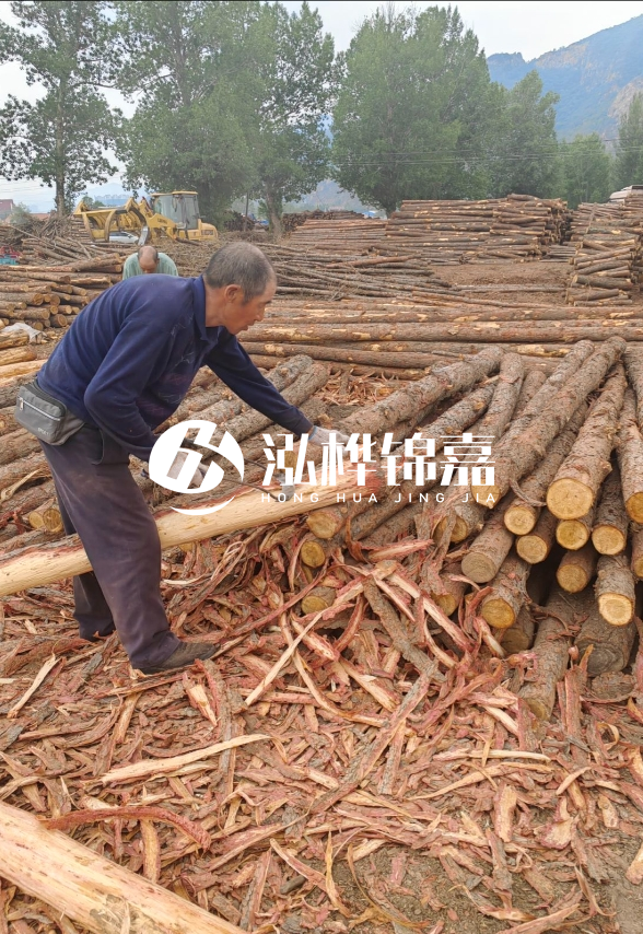 九江河底清理淤泥施工隊-河道清淤85元一方能干嗎？