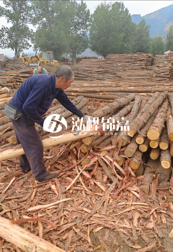 東營河道清淤專業施工隊-不同型號挖機清淤能力對比？