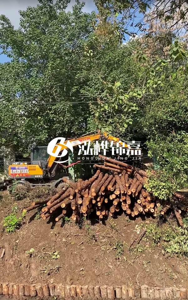 隨州松木樁源頭廠家-杉木樁打樁木的價格比松木樁貴嗎?