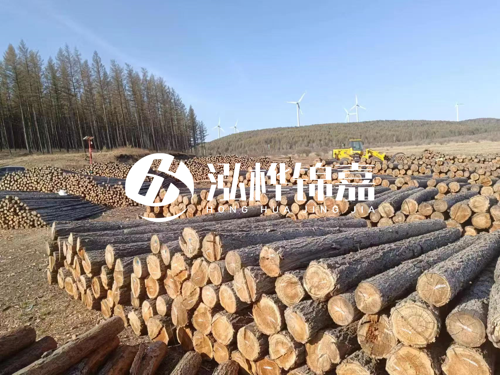 湘潭松木樁源頭廠家-松木樁與水泥樁的性?xún)r(jià)比對(duì)比如何?