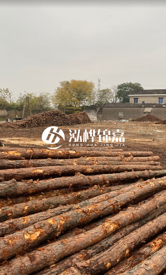 欽州松木樁源頭廠家-松木樁河道治理相比其他材料有何優勢?