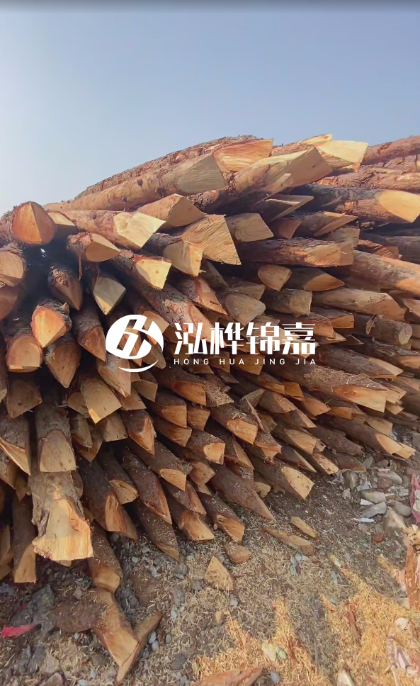 成都松木樁源頭廠家-松木樁價(jià)格5米多少錢(qián)?