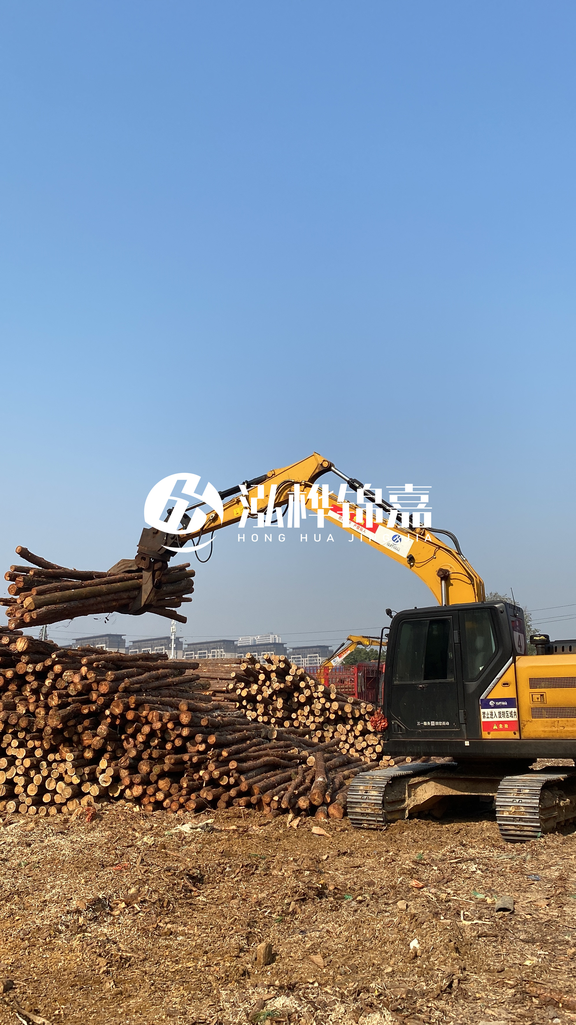 嘉峪關松木樁批發源頭廠家-6米杉木樁價格多少?