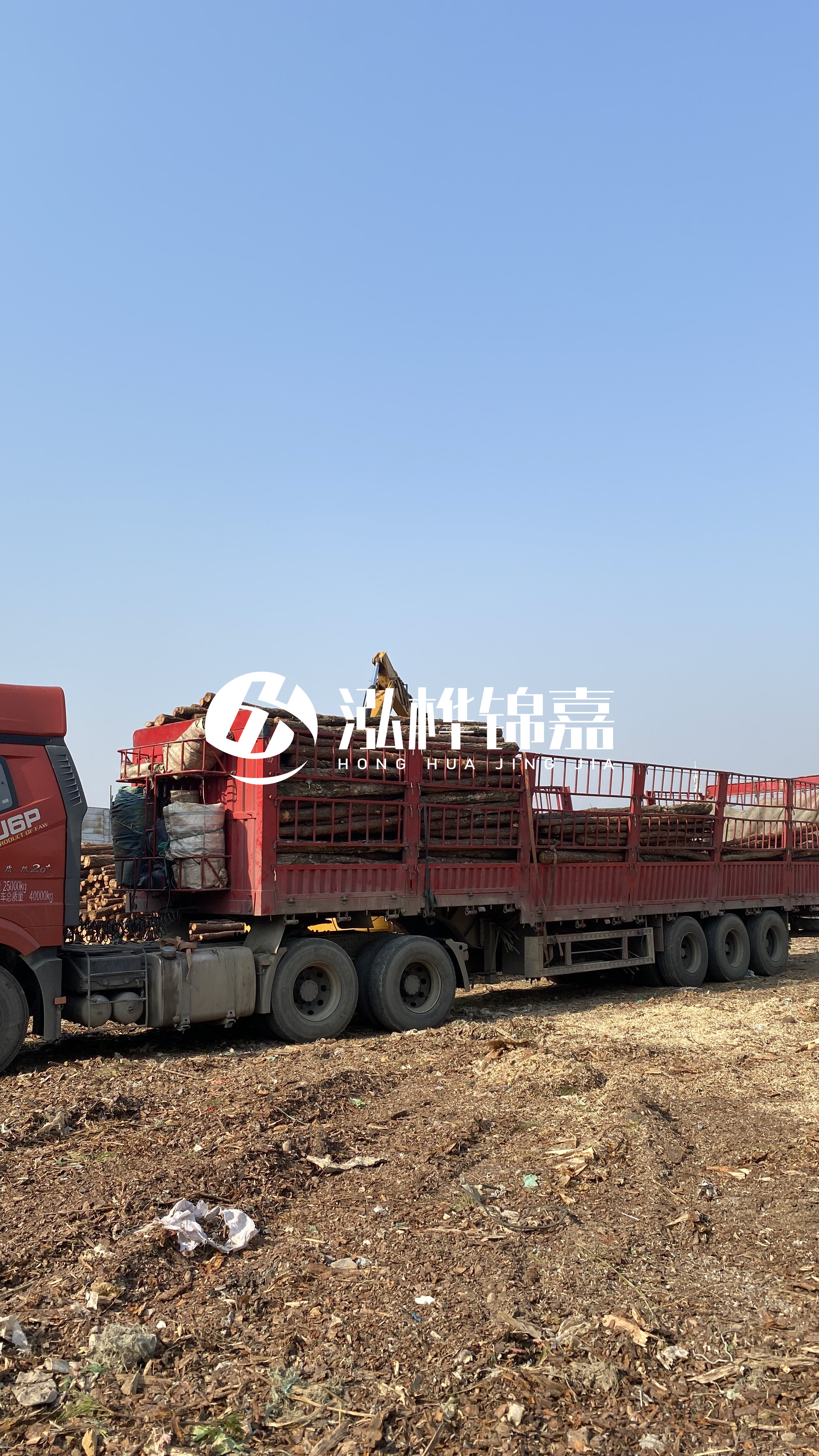 蘭州松木樁批發(fā)源頭廠家-落葉松與濕地松的主要區(qū)別?