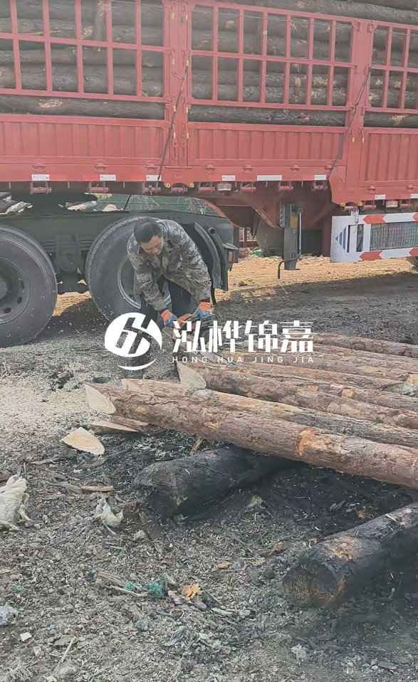 2米松木樁多少錢一根？15-20CM直徑價格是多少？