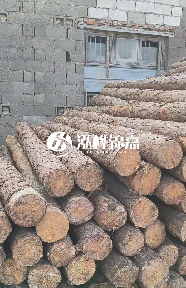 3米松木樁多少錢一根？14公分松木樁價格是多少？