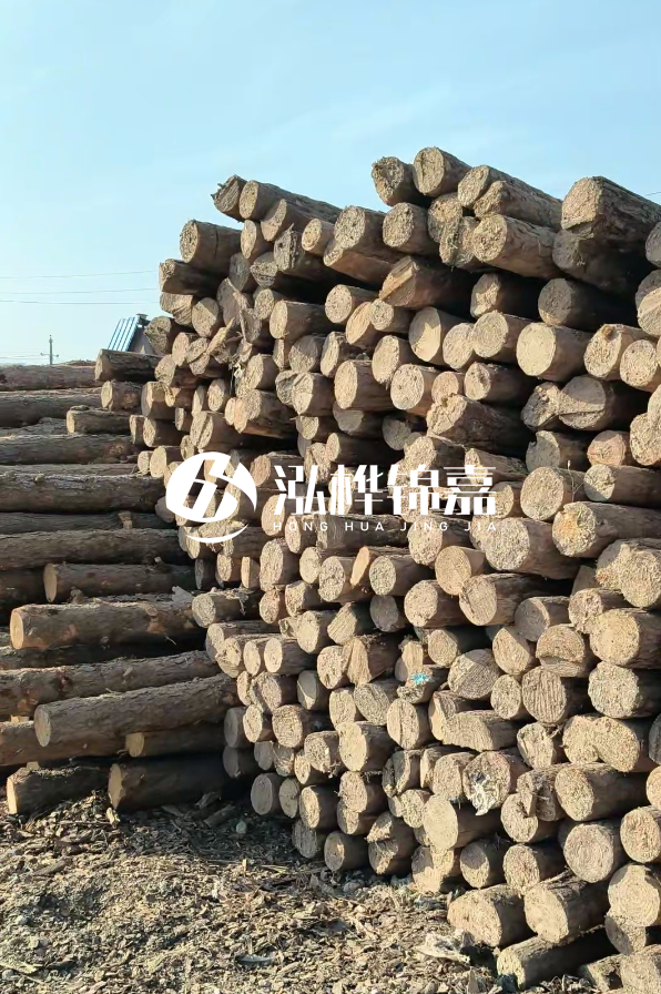 國(guó)內(nèi)哪里的松木樁便宜又好?五大高性價(jià)比產(chǎn)地推薦