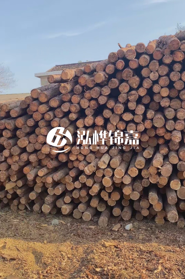 4米8-10公分松木樁大概多少錢一根？15公分價格又是多少？