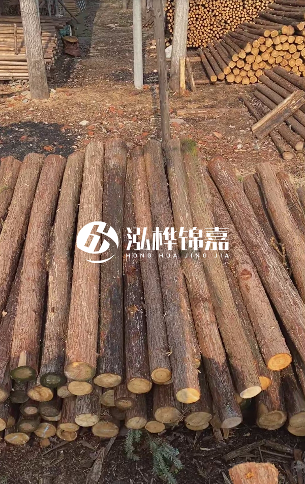 河道護坡選松木樁還是杉木樁?河道木樁一根多少錢?