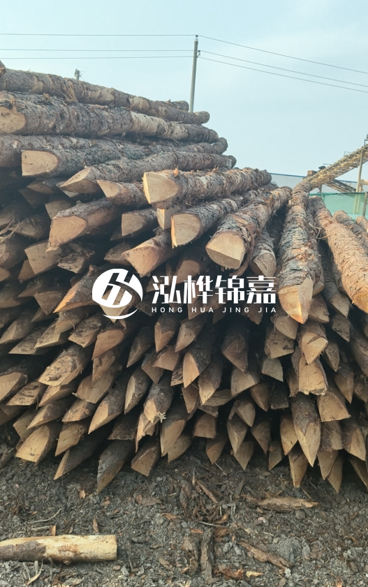 落葉松木材價格多少錢一立方?油松木材多少錢一立方?