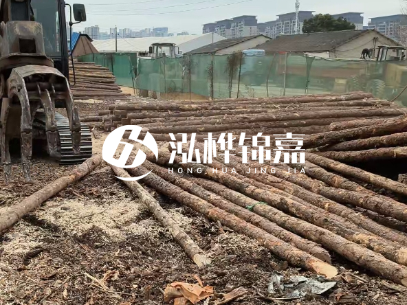 2 米長度松木樁多少錢？松木樁 10 一 15 公分價格？