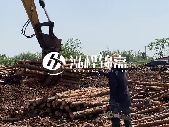 長沙泓樺錦嘉生態環境工程有限公司 松木樁生產基地實力介紹