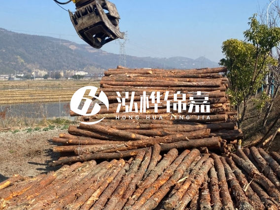防汛防洪關鍵材料：長沙泓樺錦嘉生態環境科技有限公司松木樁質量可靠、交付準時