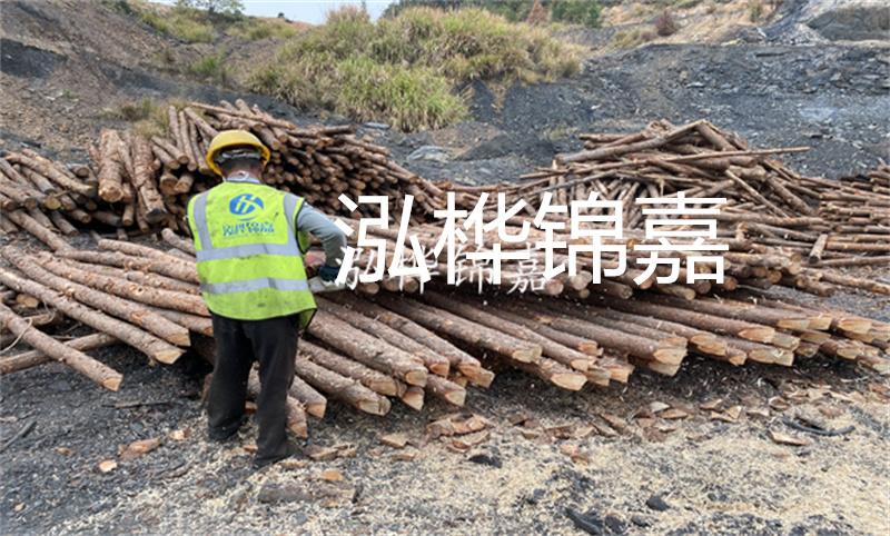 杉木樁多少錢一米?了解一下!