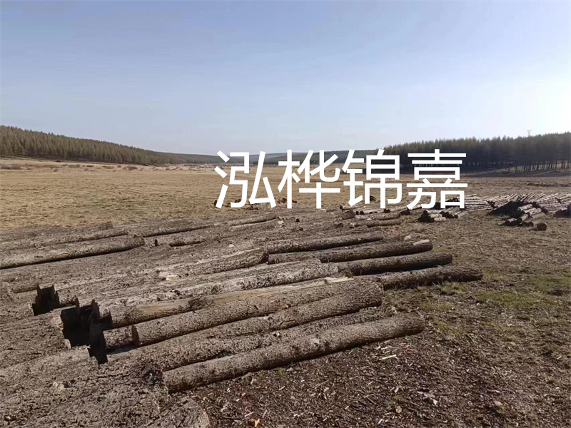 木樁批發,打造穩固基石