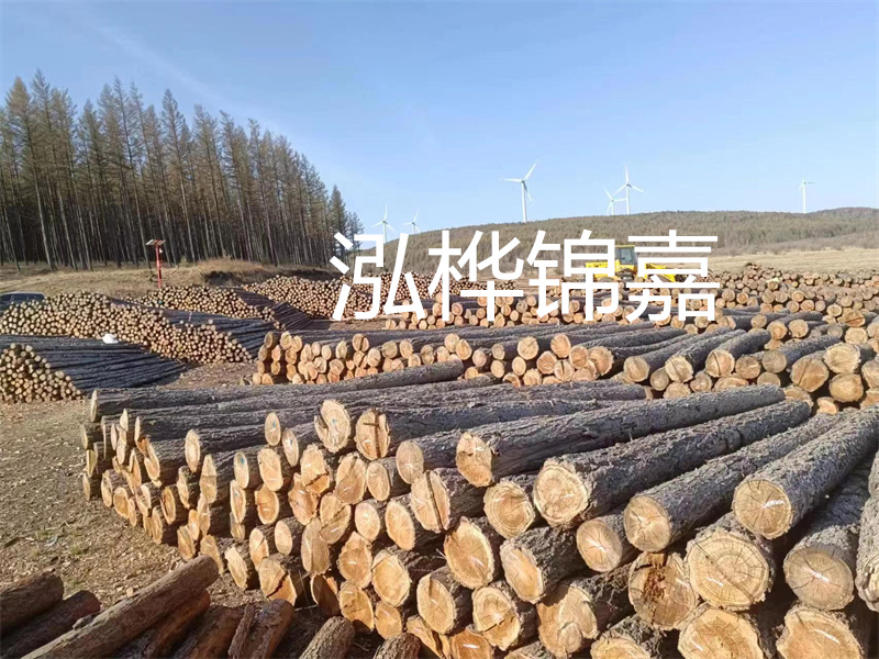 杉木樁護坡施工,為您打造安全的保護屏障