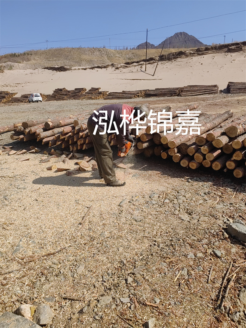 松木樁哪里有賣?挑選松木樁要注意什么?